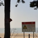 방아머리공원(솔밭) 이미지