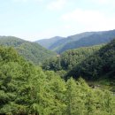 좌구산 줄타기매표소 이미지