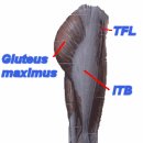 부산 남포동 크로스핏 해성 / 2016-11-28 hs크로스핏 cf wod - 푸시프레스,푸샾,쓰모데드하이플,스쿼트 이미지