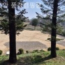 학교안 풍경 캠핑장 | [파주/캠핑장/글램핑] 학교안 풍경캠핑장 가족과 함께하는 주말 힐링 캠핑
