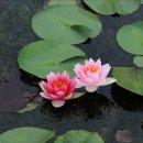 의왕초등학교 이미지