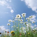 (주)오가 이미지