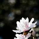 미소와행복 이미지