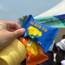 소짝제주 | 2026 제주오름트레일런 10K 후기, 첫 트레일런, 펀런 FUNRUN