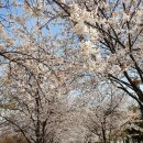 원적산공원 이미지