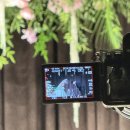CU 강화신문점 | JVC 에브리오 GZ-E565(Everio) 핑크골드 | 본식·하와이 신혼여행 촬영기, 13년 된 캠코더 아직 쓸 만...