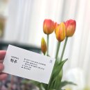 밀양동물메디컬센터 | 김해율하미용실 베이즈헤어 학주 디자이너 남자펌 다운펌 후기