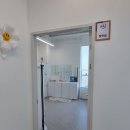 더문폴&댄스 이미지