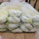 7245 | 대전 절임배추 논산 절임배추 고랭지 절임배추 새로운김치