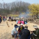 양평 산수유한우축제 2017 이미지