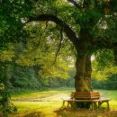 조은건강연구소 이미지