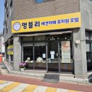 멍블리 애견카페 | 멍블리 애견(강아지)호텔 (기흥구애견호텔 구갈동애견호텔 신갈애견호텔 청덕동애견호텔 영덕동애견...