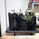 참숯사랑