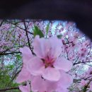 오포2동-4 이미지