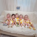 호랑이형제 이미지