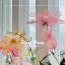 그린무드하우스(Green mood house)