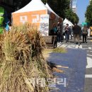 종로-종로-종로-종-330 이미지