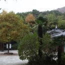 남해지방해양경찰청