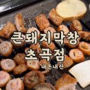 포항 초곡 큰돼지막창 맛집 초벌 고소하고 깔끔 세트메뉴 추천 (구)큰손막창