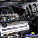 아이비모터스 이미지