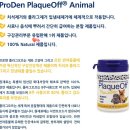 빵굽는고양이