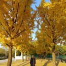 부동산밴드공인중개사사무소 이미지