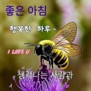 동물들의 돌발행동 이미지