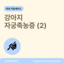 행신동물병원 이미지