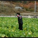 봉화농장 이미지