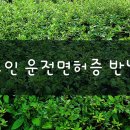 면허증 반납 10만원권 교통카드 받기 이미지