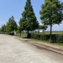 벌교숲공원옆게이트볼경기장 | 부산 돌 아기랑 가볼만한곳 삼락생태공원 피크닉 셀프 스냅