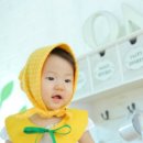 사파동232 이미지