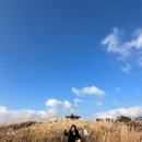 대굴대굴도두점