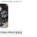 없 음 이미지