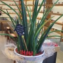 아이젠트리봉곡점 | 노안으로 아내와 커플안경을 맞추었어요 구미안경전문점 아이젠트리 봉곡점