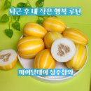 퇴근 후 내 작은 행복 루틴 마이달데이 성주참외