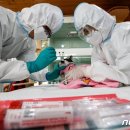 네이처스로우 이미지