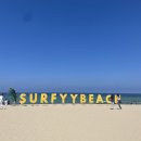서피비치(surfyy beach)