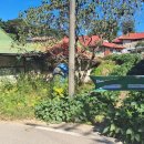 명신초등학교 이미지