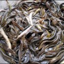 영양 추어탕 이미지