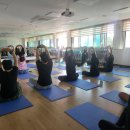 수원-1518 | 나들이요가 X 수원 아보하 페스티벌 후기 | 아주 보통의 하루, 아주 특별했던 하루 후기