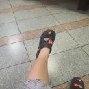 합성동356 이미지