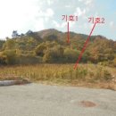 재분농장 이미지