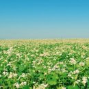 워크잇(Walk it) 이미지