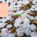 센트럴대구산부인과의원 이미지