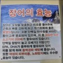 벌떡장어 - 서대문구 연희로 213 | 벌떡장어