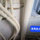 동호아파트 Daum카페