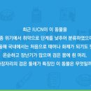 IUCN 나눔의 숲 | [서대홍 9기] 도전! 그린벨 참여 후기