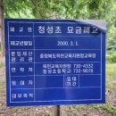 청성초 묘금분교 네이버블로그