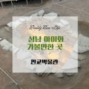 판교 통일신라~고려고분군 | 판교 아이와 가볼만한 곳, 판교박물관 관람 추천